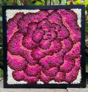 Rose in Bloom